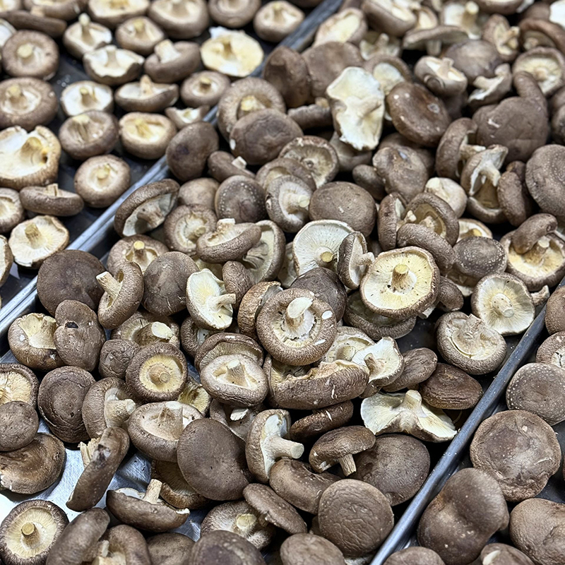 nam-huong-say-thang-hoa-3