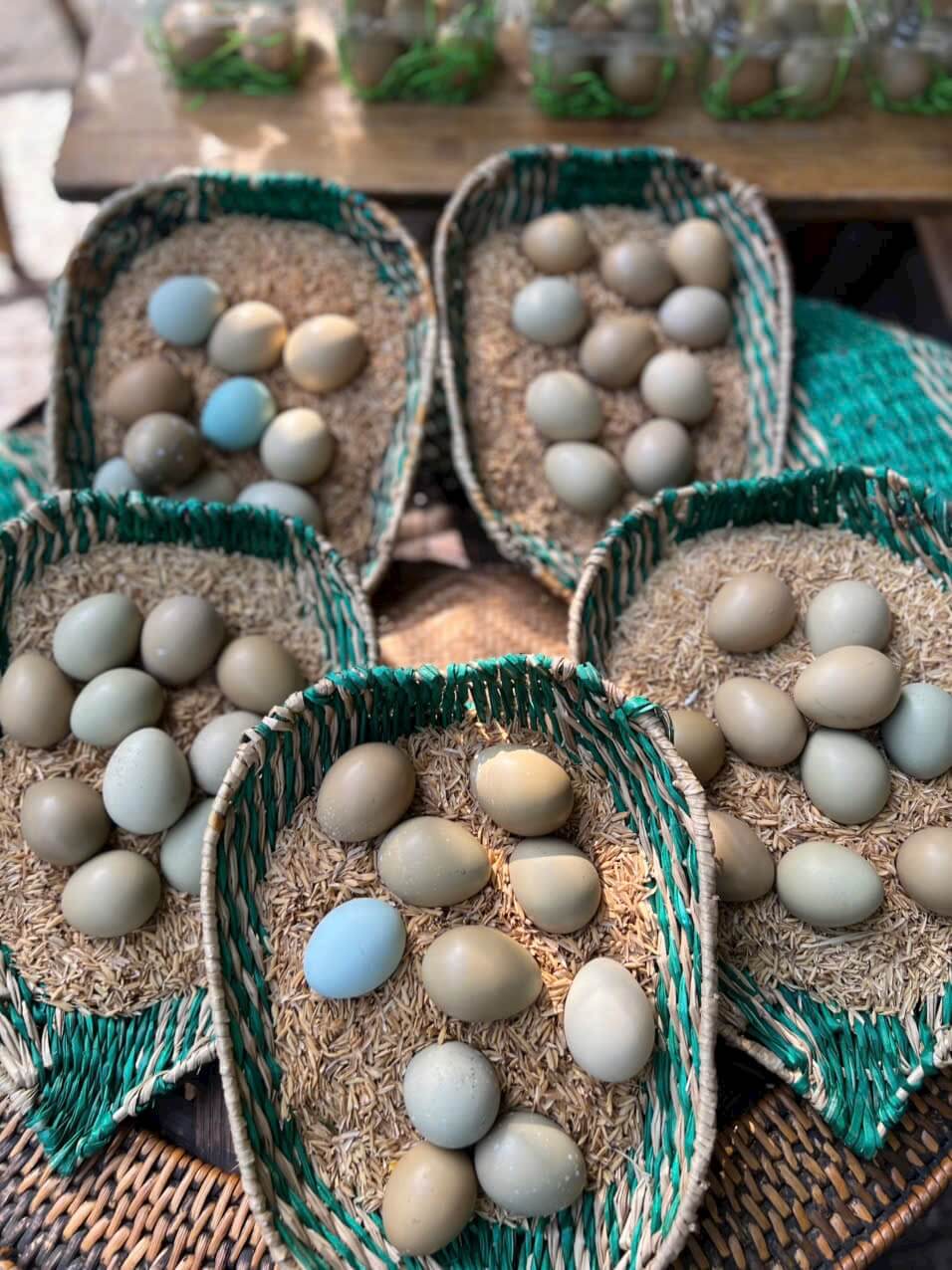 sỉ lẻ trứng chim trĩ