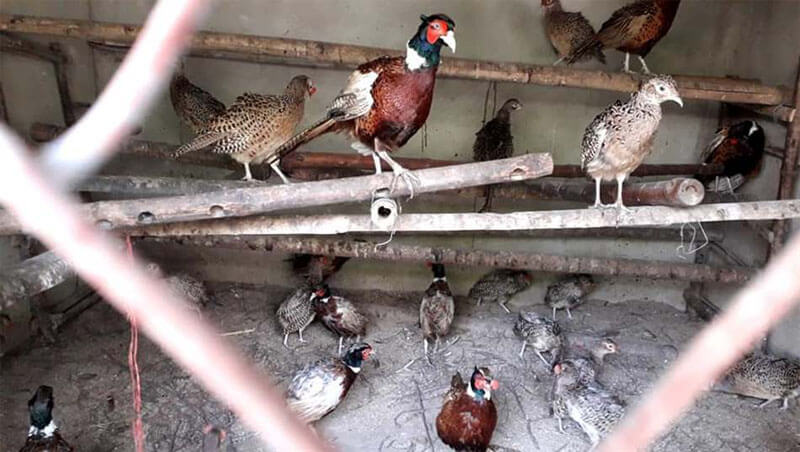 So sánh ảnh hưởng của thời tiết tại các vùng khác nhau