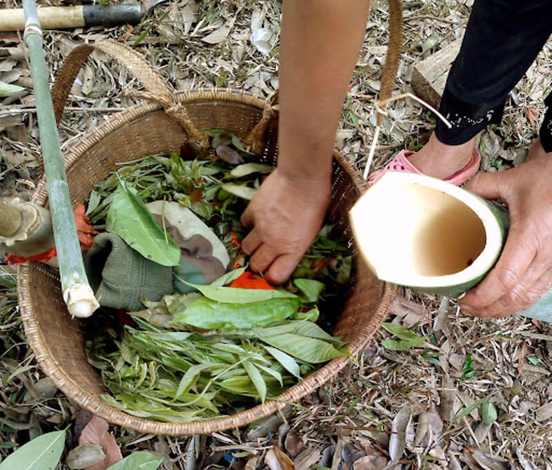 lá bép tây nguyên