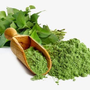 bột rau diếp cá sấy thăng hoa