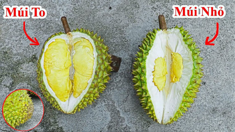 làm thế nào chọn sầu riêng ngon
