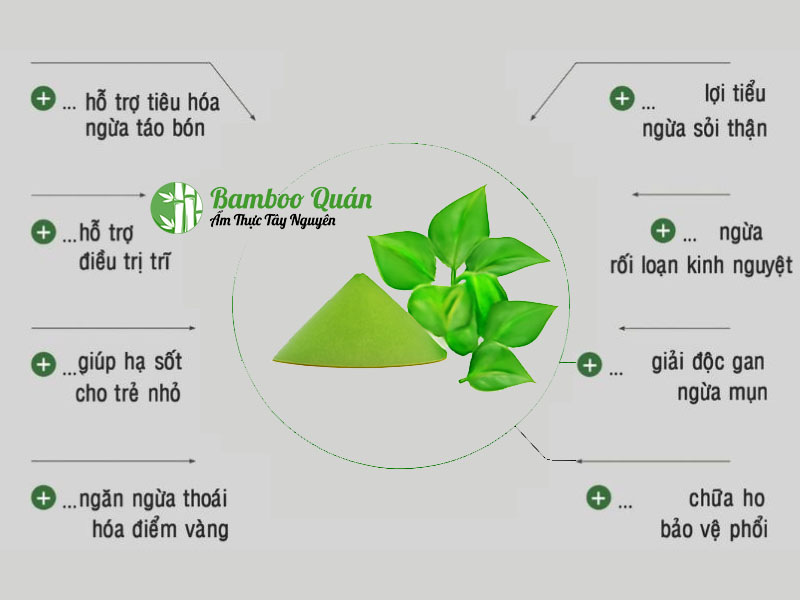 giá trị dinh dưỡng từ bột diếp cá